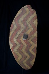 ABORIGINAL RAINFOREST SHIELD